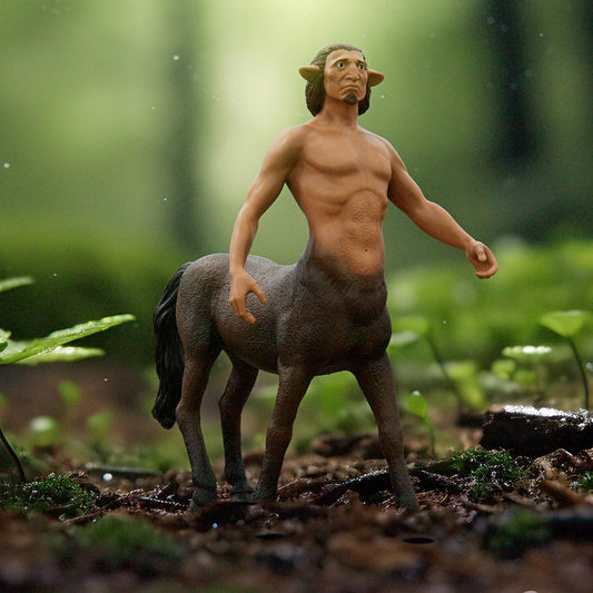 13986 Schleich Harry Potter - Fiorenzo