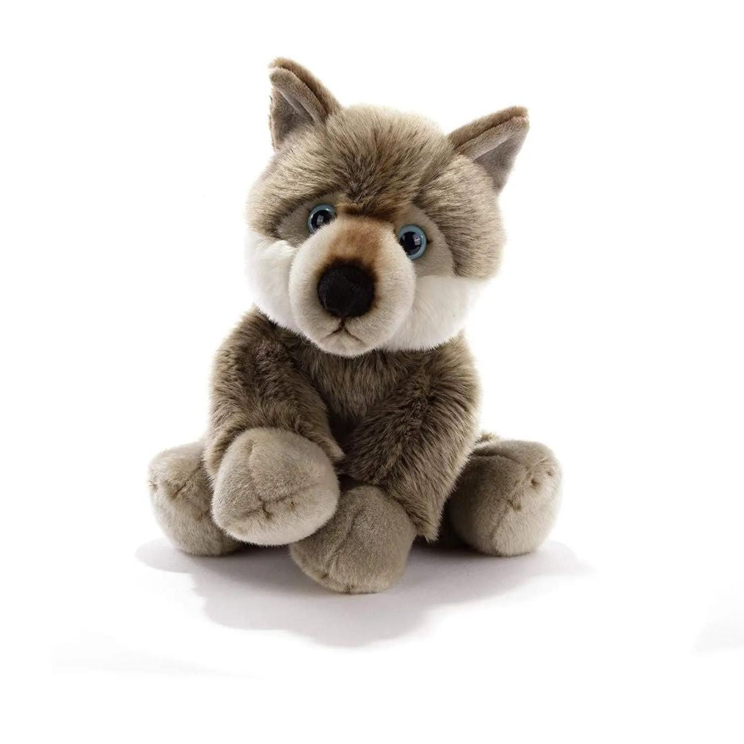 15961 Plush & Company - Peluche Lupetto - Amaguk 35 cm