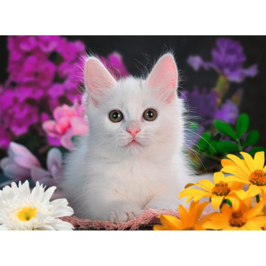 13358 Ravensburger - Gattino glitter - Puzzle XXL - 100 pezzi
