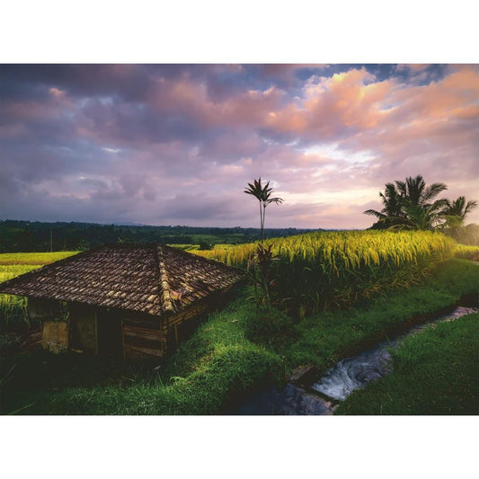 16991 Ravensburger - Risaie a Bali - Puzzle 500 pezzi