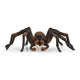 13987 Schleich Harry Potter - Aragog