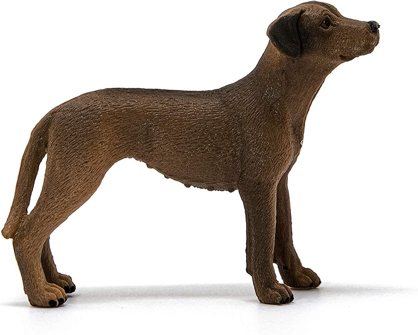 Farm World Schleich-s - 13895 Rhodesian Ridgeback