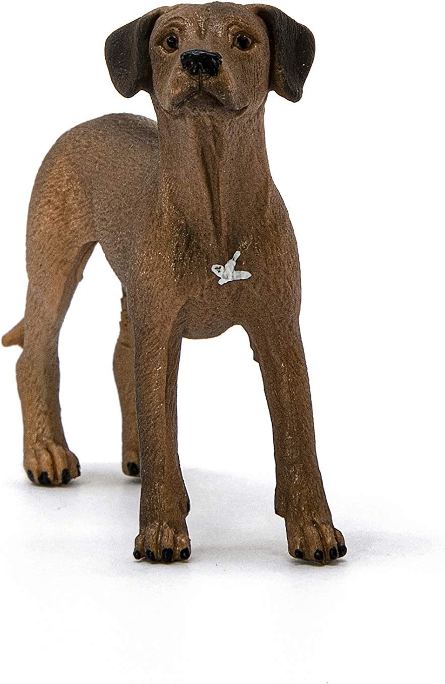 Farm World Schleich-s - 13895 Rhodesian Ridgeback