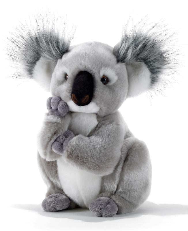 15747 Plush & Company - KOLETTE  KOALA - H.28 CM