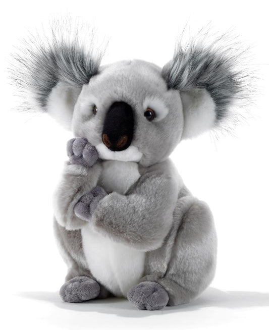 15747 Plush & Company - KOLETTE  KOALA - H.28 CM