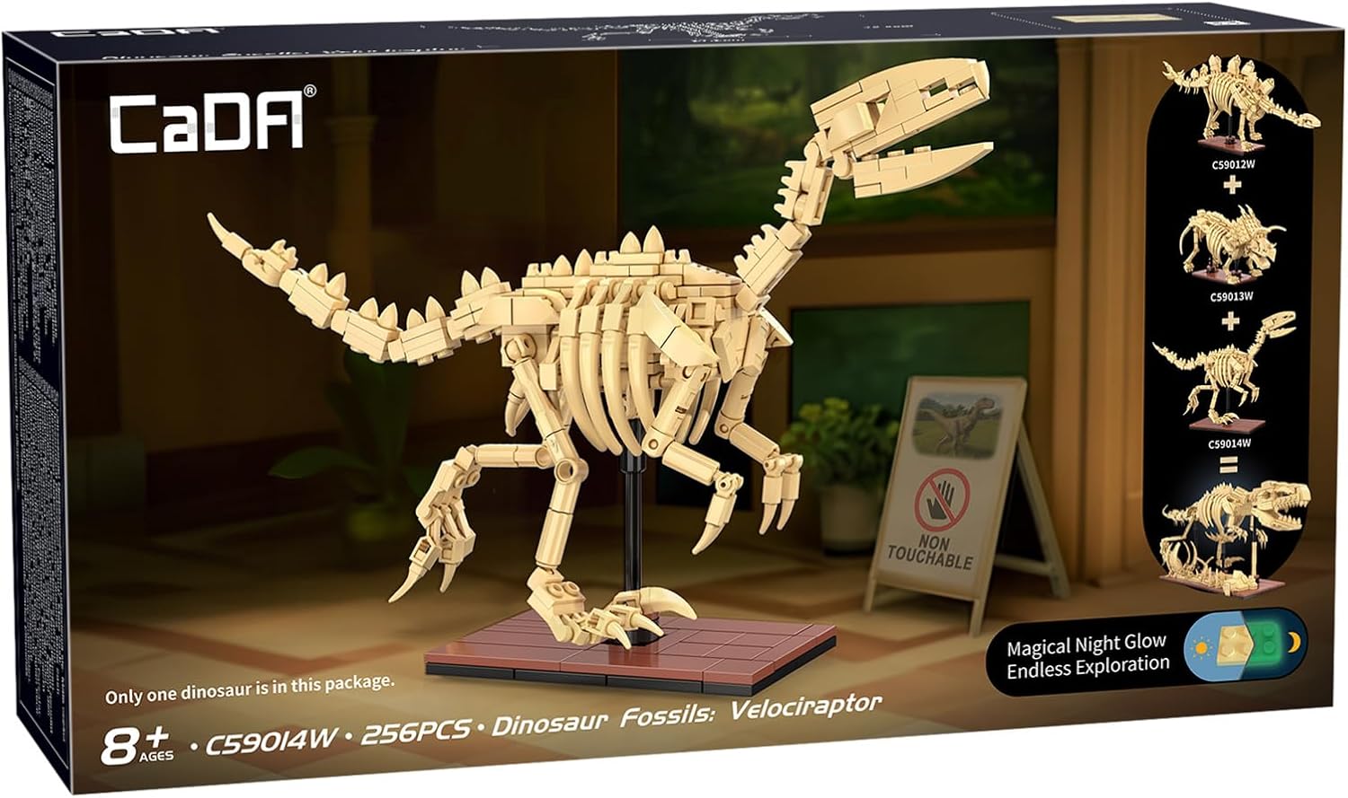 C59014W CaDA Dinosaur Fossils Velociraptor Scheletro di Velociraptor Costruire