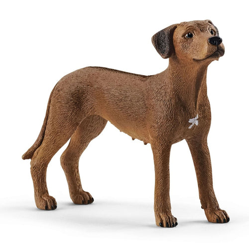 Farm World Schleich-s - 13895 Rhodesian Ridgeback
