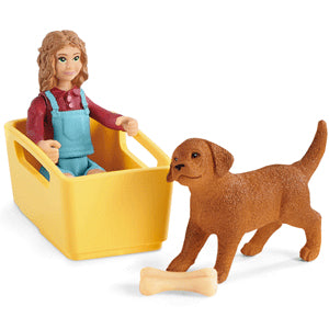42543 Schleich-s - Farm world TRASPORTINO PER CANI