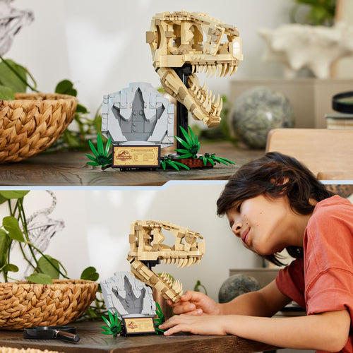 76964 LEGO Jurassic World Fossili di dinosauro: Teschio di T.rex