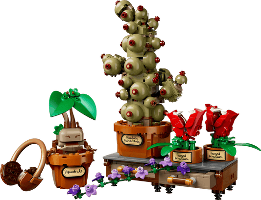 76474 Lego Harry Potter Piante di erbologia di Hogwarts™