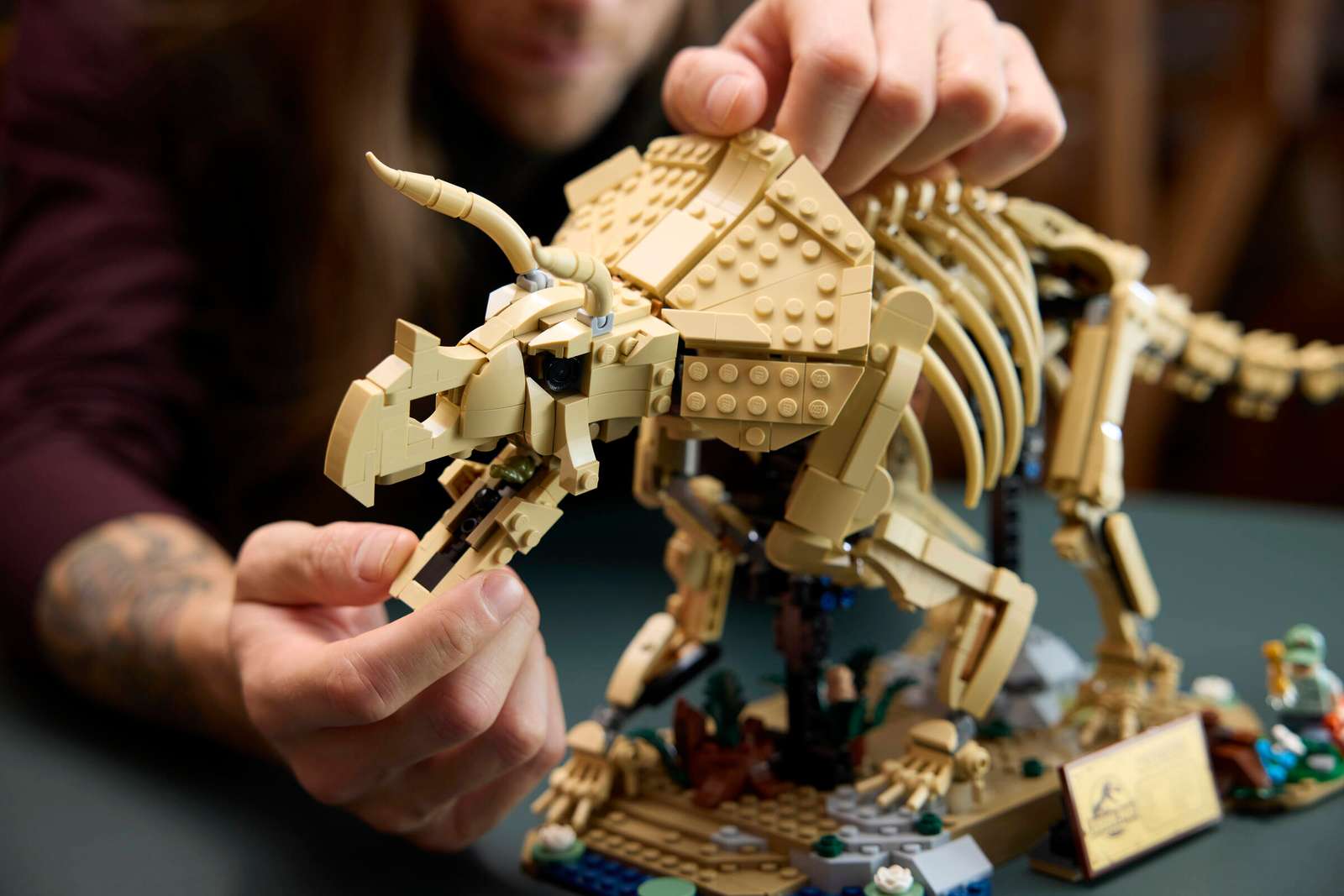 77985 Lego Jurassic World Fossili di dinosauro: Triceratopo