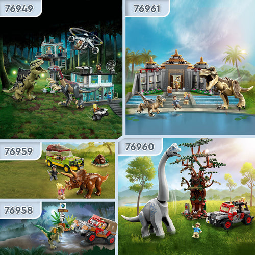 76964 LEGO Jurassic World Fossili di dinosauro: Teschio di T.rex