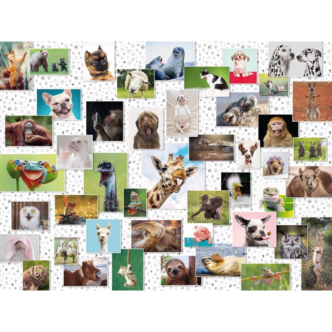 16711 Ravensburger - Collage di Animali divertenti - Puzzle 1500 pezzi