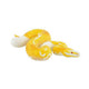 68485 - BULLYLAND - Ragni e Rettili Pitone albino