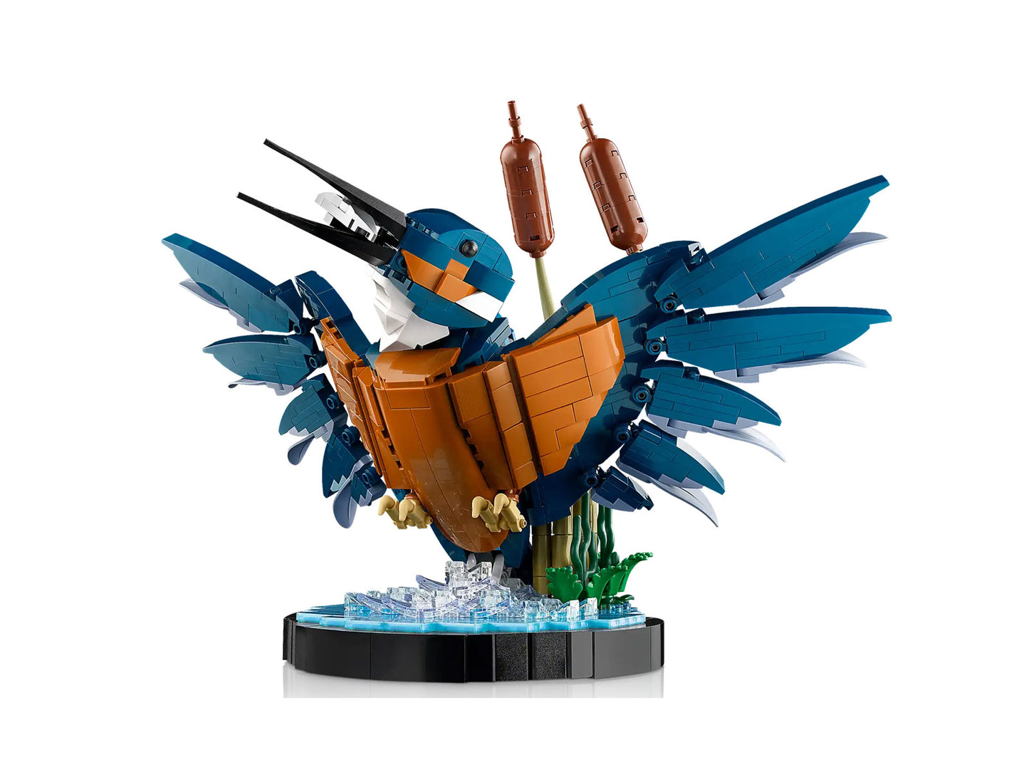 10331 LEGO Icons - Martin pescatore
