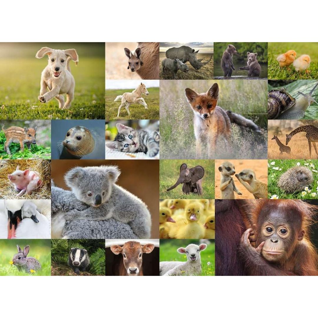 13353 Ravensburger - I cuccioli del mondo - Puzzle XXL - 200 pezzi