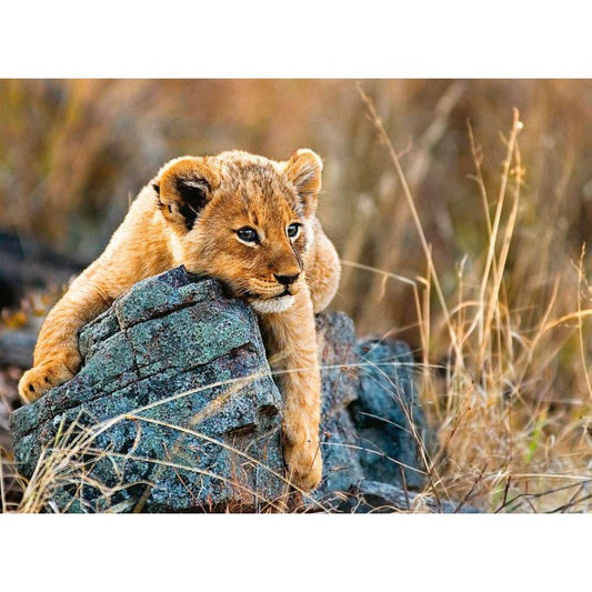 12946 Ravensburger - Piccolo leone - Puzzle XXL - 200 pezzi