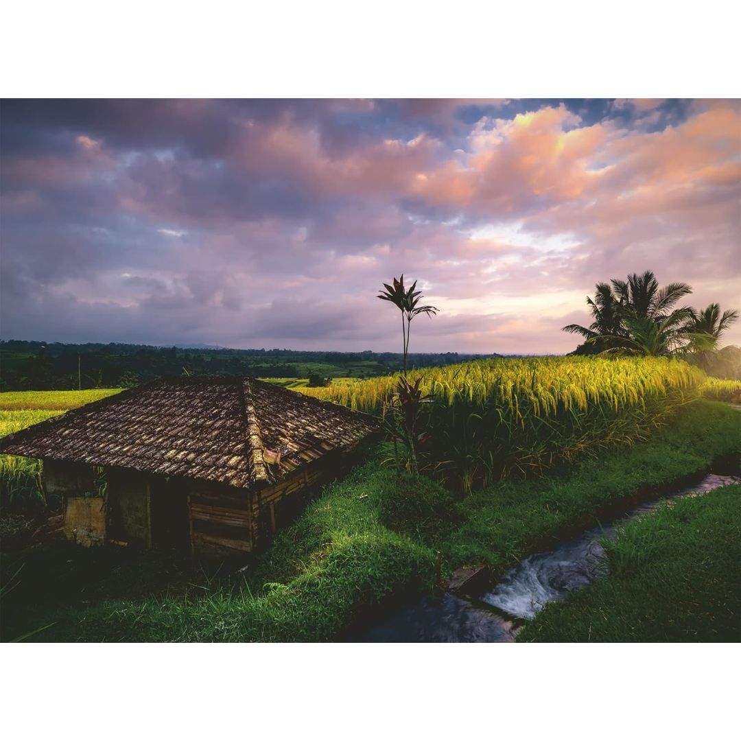 16991 Ravensburger - Risaie a Bali - Puzzle 500 pezzi