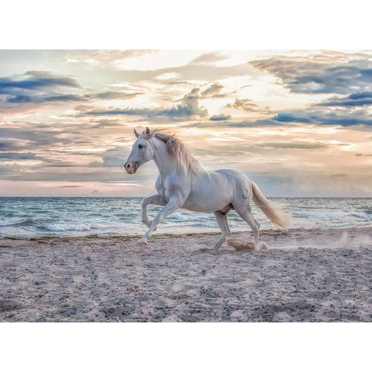 Ravensburger - Cavallo in spiaggia - Puzzle 500 pezzi