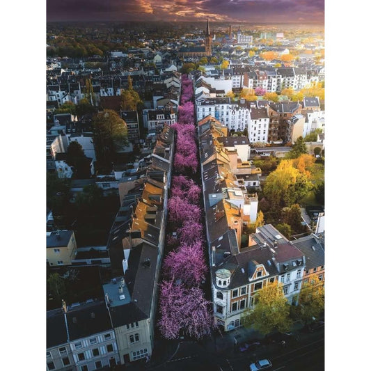 17104 Ravensburger - Bonn in fiore - Puzzle 1500 pezzi