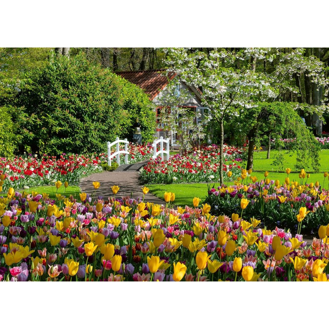 12000851 Ravensburger - Keukenhof Gardens, Paesi Bassi - Puzzle 1000 pezzi