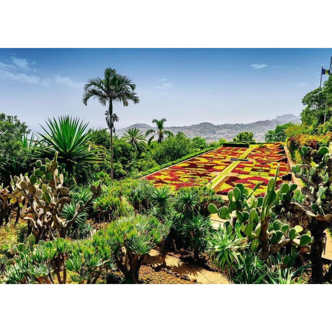 2000853 Ravensburger - Botanical Garden, Madeira - Puzzle 1000 pezzi