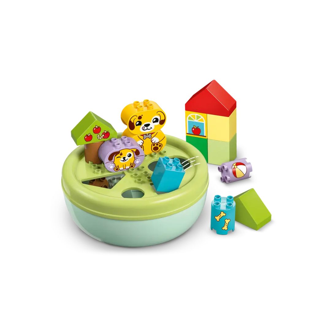 10441 LEGO Duplo - Smista-forme: casetta del cucciolo