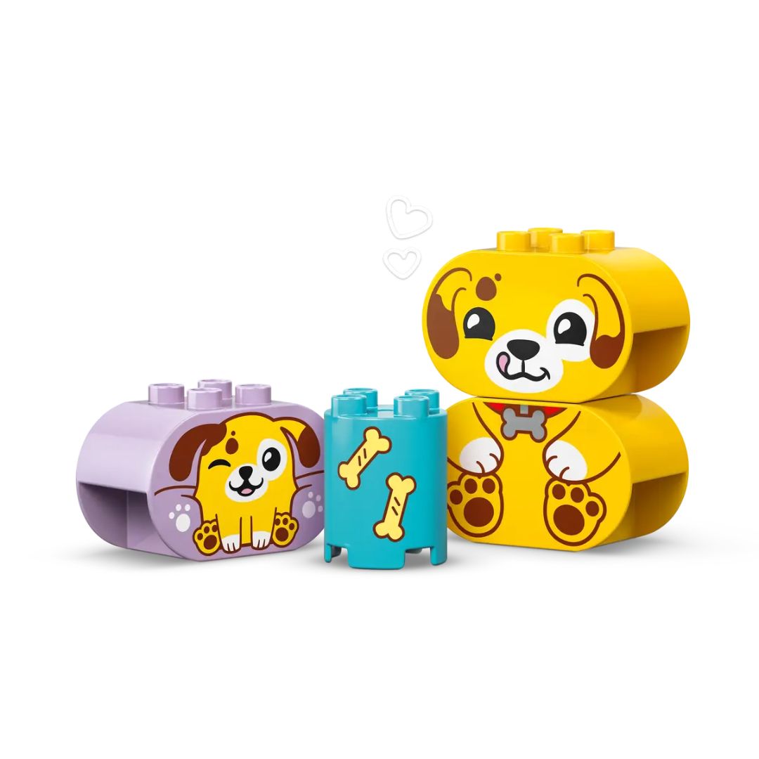 10441 LEGO Duplo - Smista-forme: casetta del cucciolo
