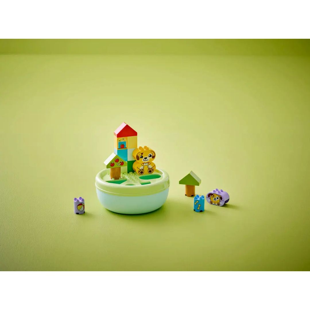10441 LEGO Duplo - Smista-forme: casetta del cucciolo