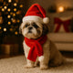 2S Cappellino e Sciarpa Babbo Natale per Cane  Costume Natalizio Taglia H24