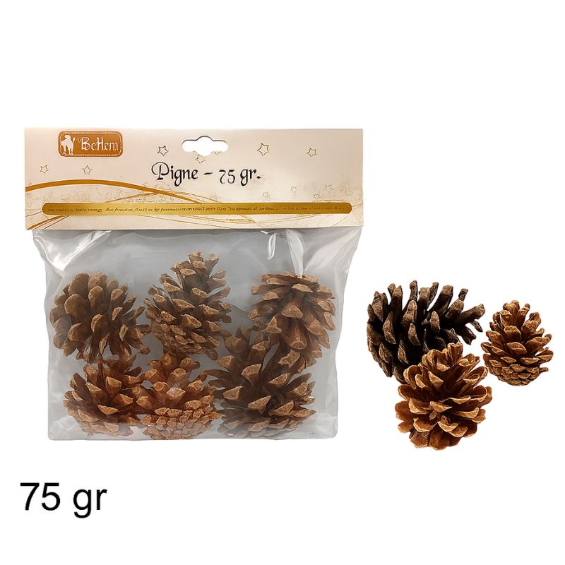 Pigne Naturali Decorazione Natalizia 75 g in Busta  DXQ23-003