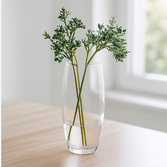 Vaso in Vetro per Amarillys 26 cm Elegante Contenitore Traspare 26CM13054-261
