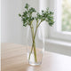 Vaso in Vetro per Amarillys 26 cm Elegante Contenitore Traspare 26CM13054-261