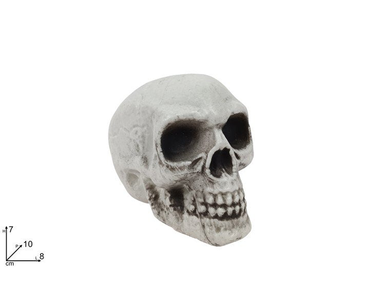 Teschio Decorativo in Plastica 8 cm  Decorazione Halloween Realistica per Casa