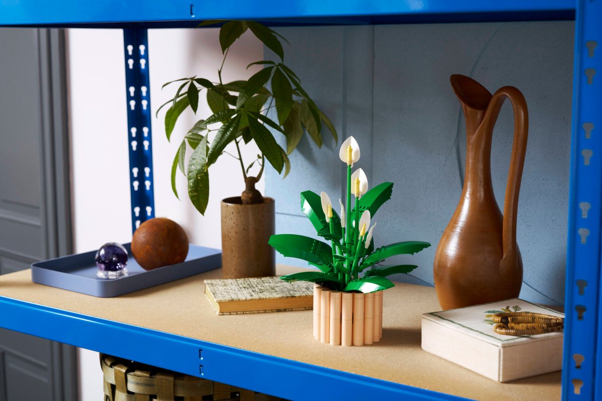 11504 LEGO Botanicals Spatifillo