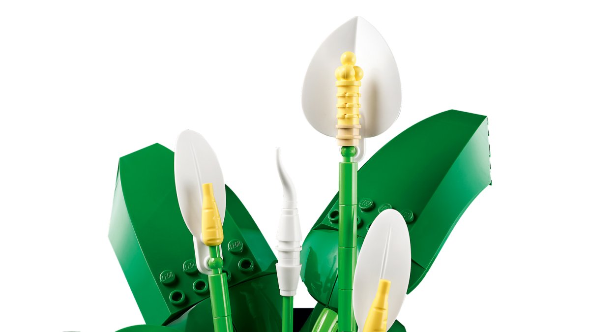 11504 LEGO Botanicals Spatifillo