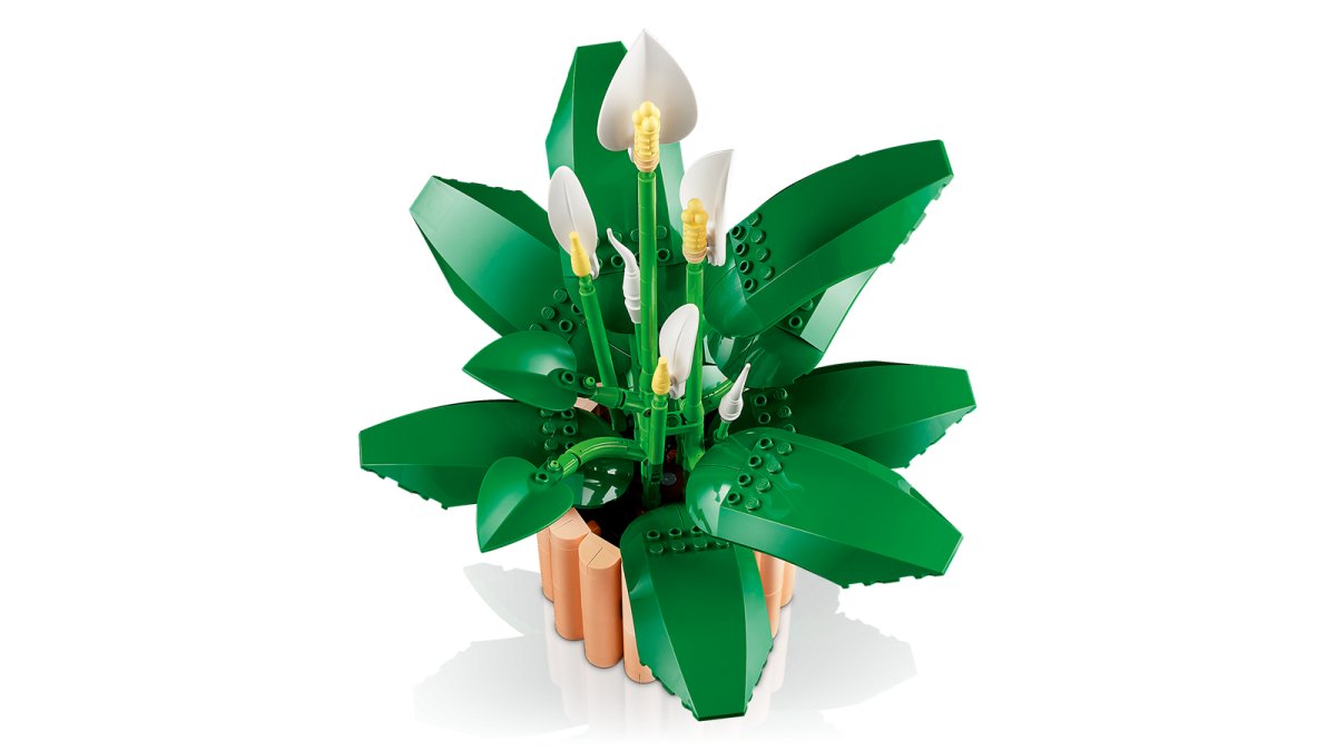 11504 LEGO Botanicals Spatifillo