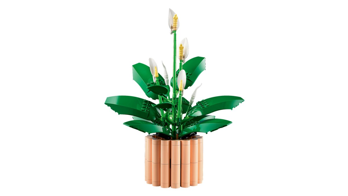 11504 LEGO Botanicals Spatifillo