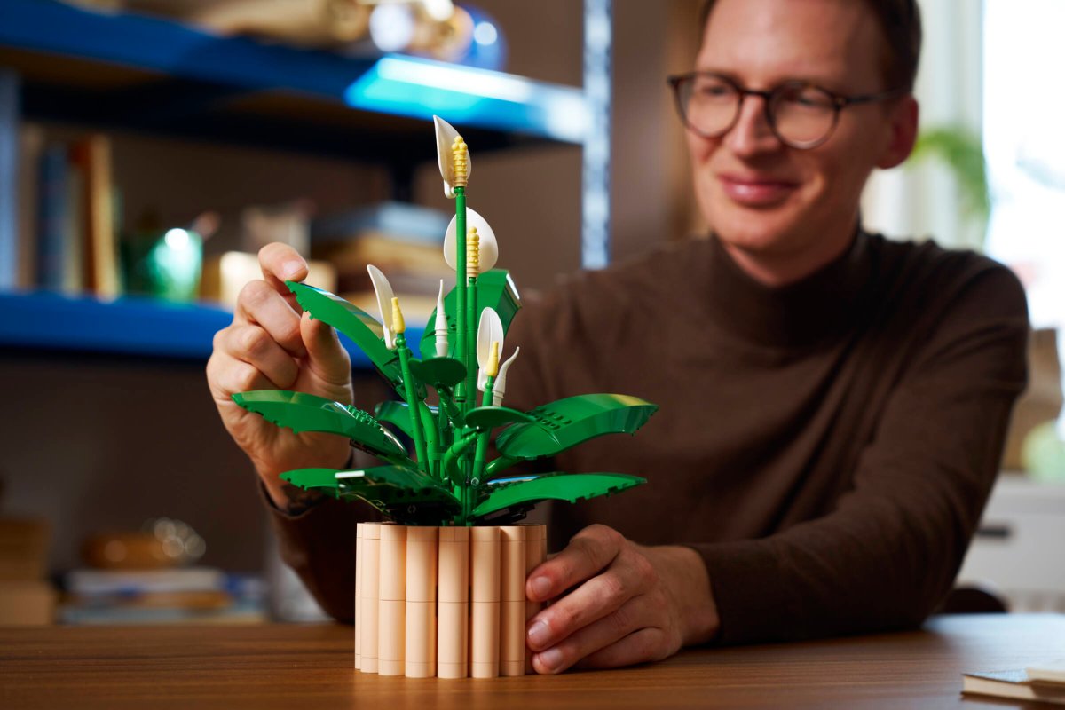 11504 LEGO Botanicals Spatifillo