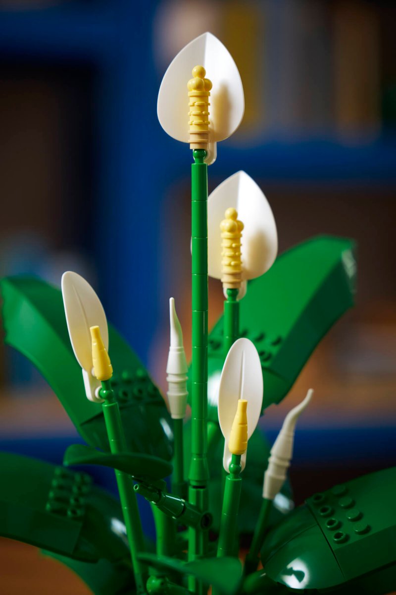 11504 LEGO Botanicals Spatifillo