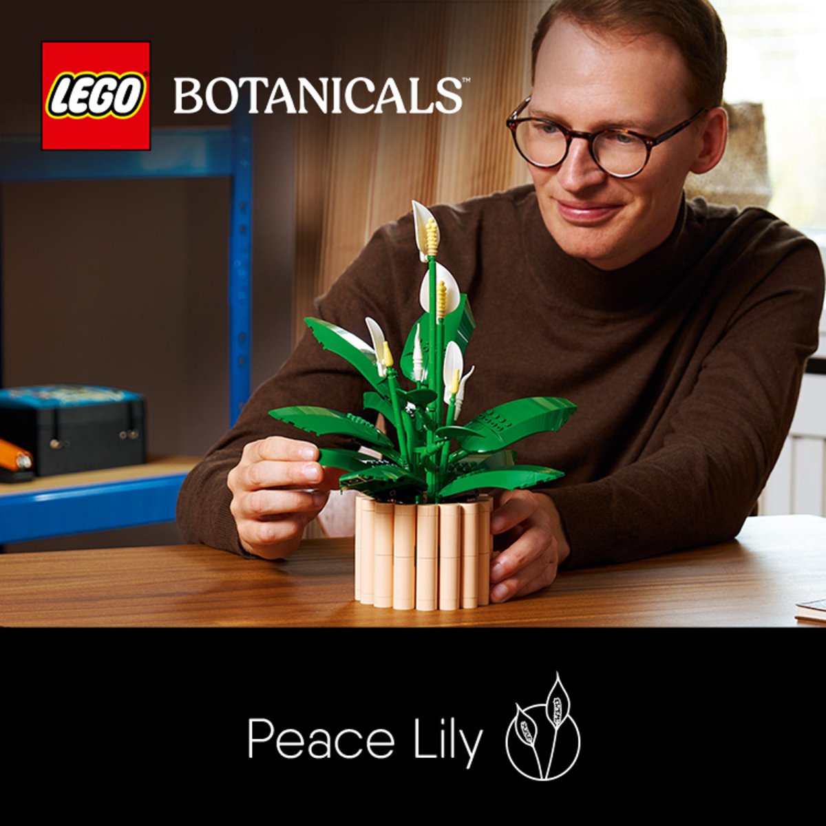 11504 LEGO Botanicals Spatifillo