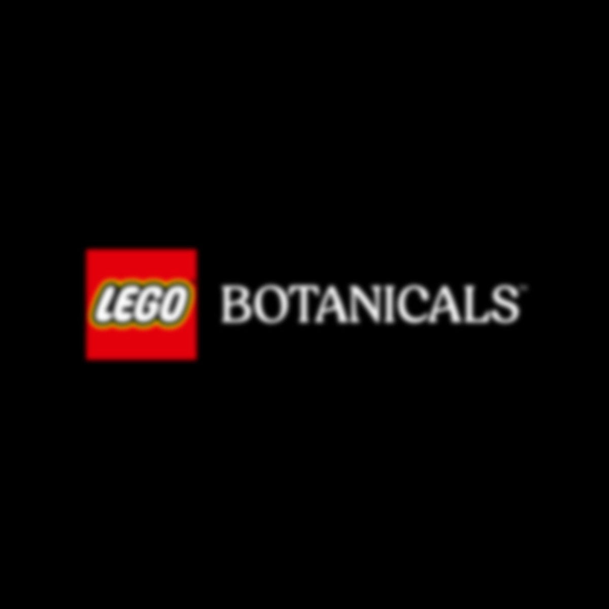 11504 LEGO Botanicals Spatifillo