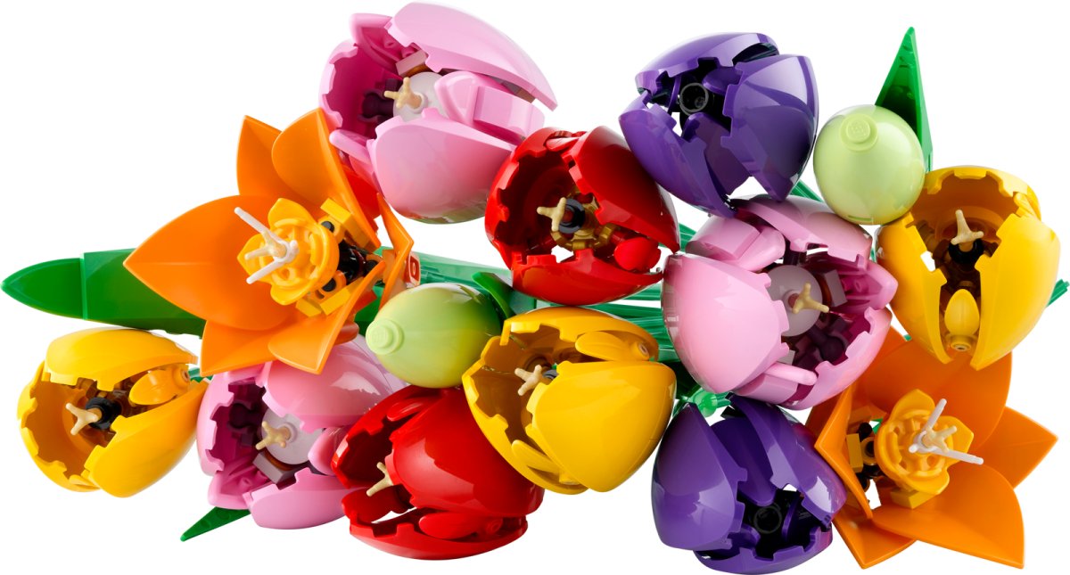 11501 LEGO Botanicals Bouquet di tulipani