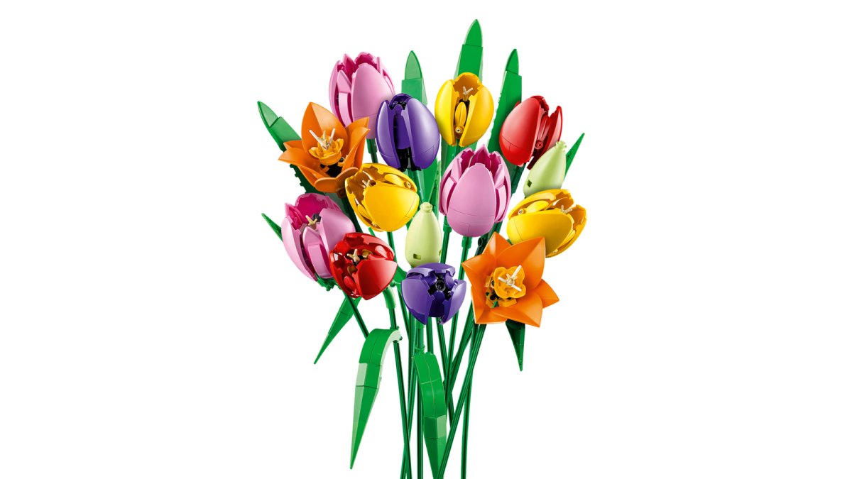 11501 LEGO Botanicals Bouquet di tulipani