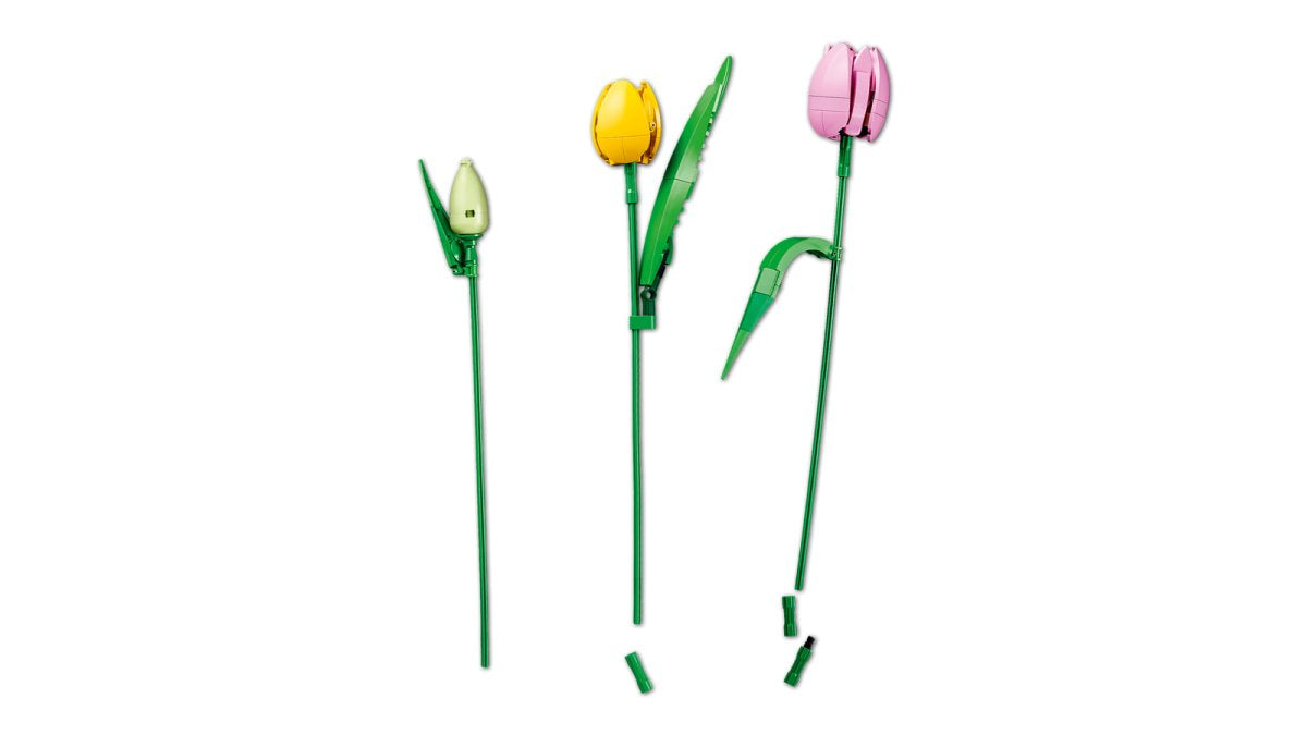 11501 LEGO Botanicals Bouquet di tulipani