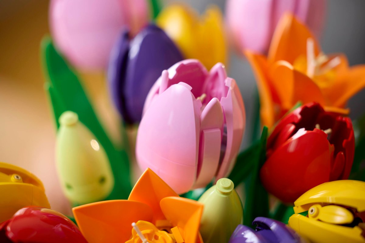 11501 LEGO Botanicals Bouquet di tulipani