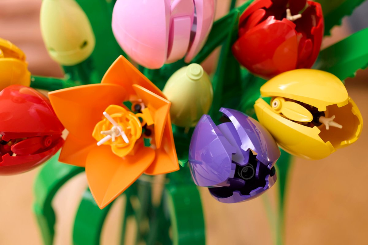 11501 LEGO Botanicals Bouquet di tulipani