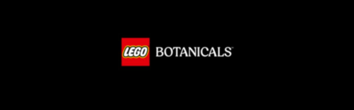 11501 LEGO Botanicals Bouquet di tulipani