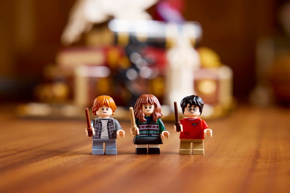 76466 LEGO Harry Potter TM Pietra filosofale  Edizione del collezionista