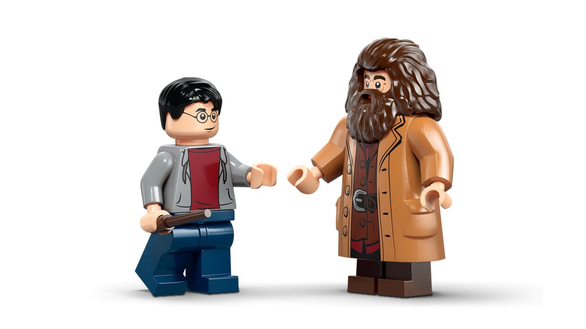 76459 LEGO Harry Potter TM Fuga da Privet Drive di Hagrid e Harry